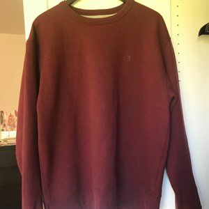 Champion sweater